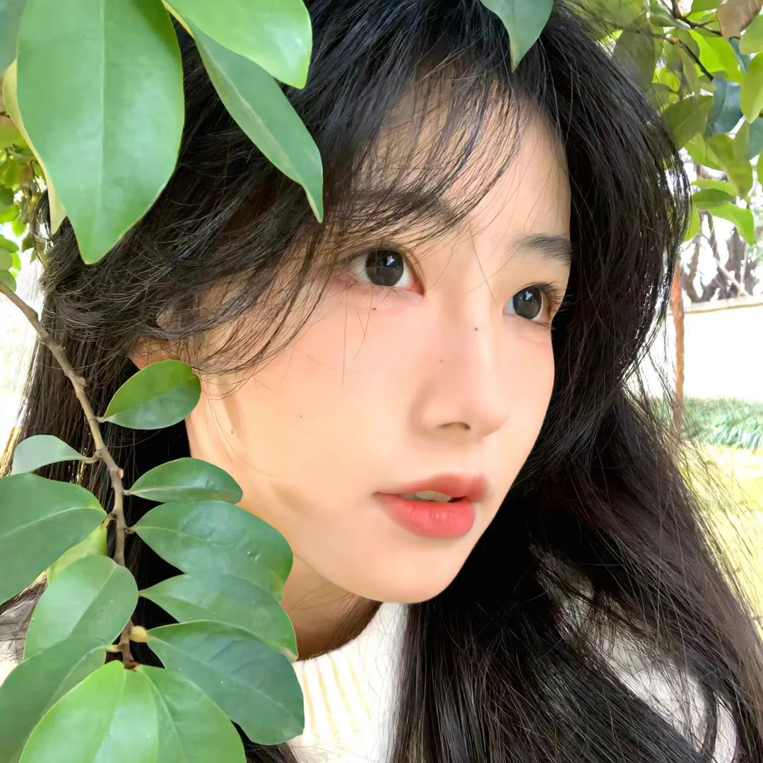 摘星的女人粤语